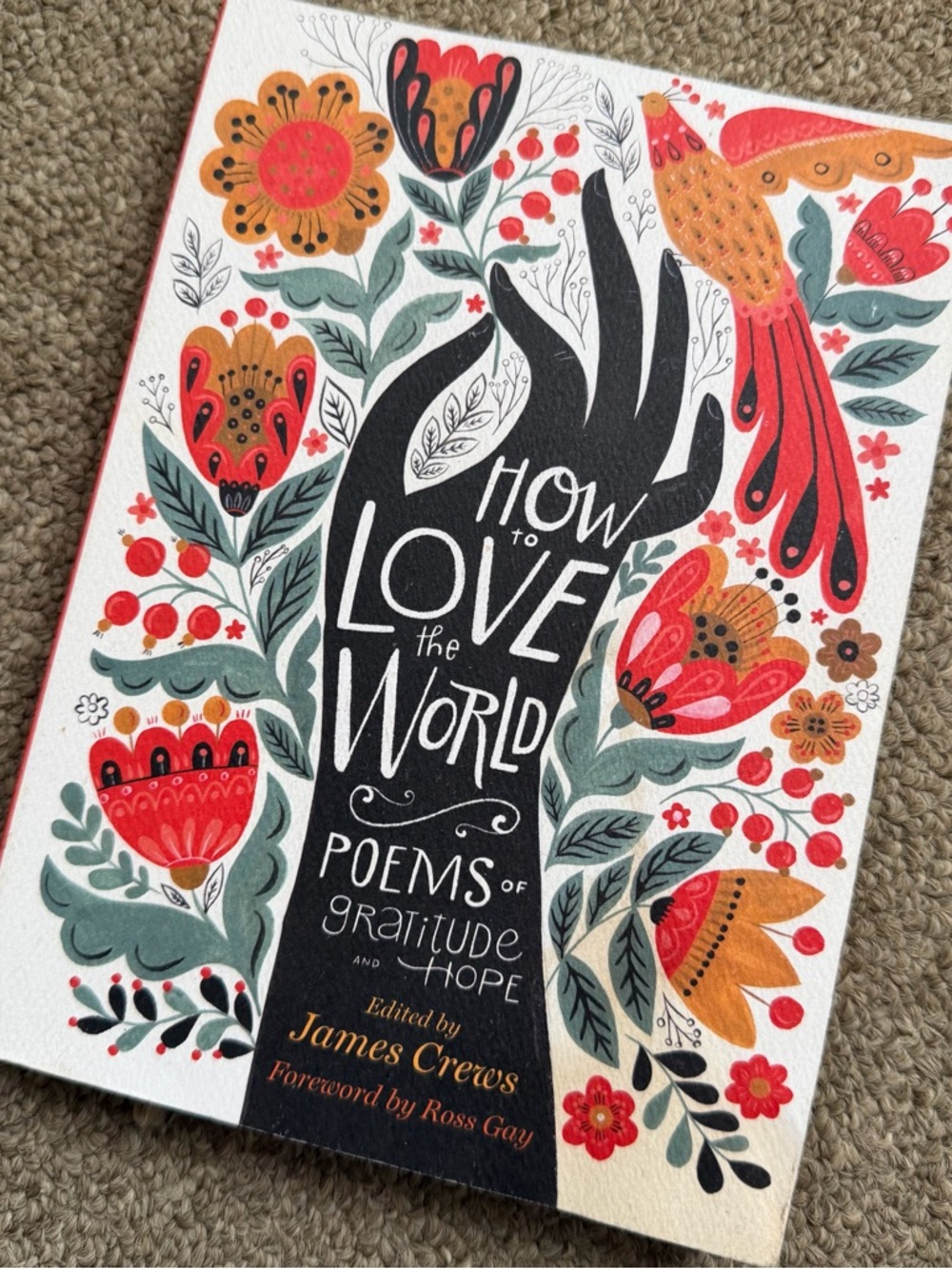 How to love the world poems by James Crew